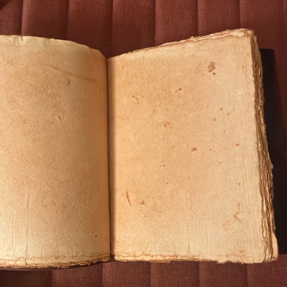 Leather bound parchment journal - Picture 4 of 4